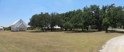 Live Oak Grove image. Click for full size.