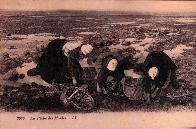 <i>La P�che des Moules</i> or Gathering Mussels. image. Click for full size.