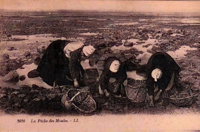 <i>La Pche des Moules</i> or Gathering Mussels. image. Click for full size.