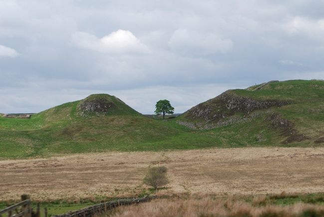 Sycamore Gap and Milecastle 39. Click for full size. Sycamore Gap and Milecastle 39 image. Click for full size.