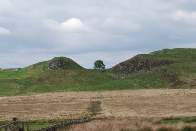 Sycamore Gap and Milecastle 39 image. Click for full size.