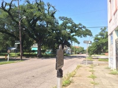 View of marker looking west on St Francis Street. image. Click for full size.