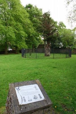 The Yew Tree, The Wallace Oak, and The Cult of William Wallace Marker image. Click for full size.