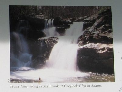 Peck�s Falls, along Peck�s Brook at Greylock Glen in Adams image. Click for full size.