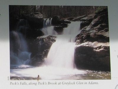 Pecks Falls, along Pecks Brook at Greylock Glen in Adams image. Click for full size.