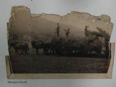 Loading Hay image. Click for full size.