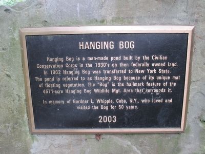 Hanging Bog Marker image. Click for full size.
