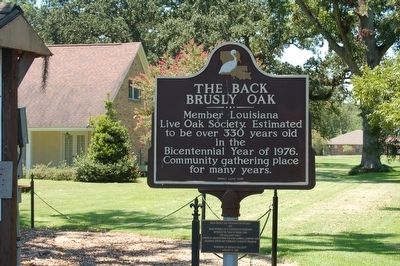 The Back Brusly Oak Marker image. Click for full size.