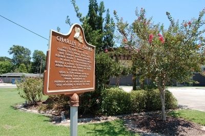Charles P. Adams Marker and Brusly Plaza image. Click for full size.