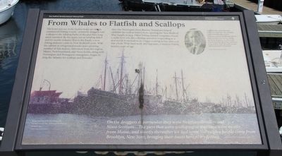From Whales to Flatfish and Scallops Marker. Click for full size. From Whales to Flatfish and Scallops Marker image. Click for full size.