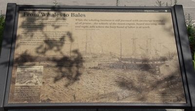 From Whales to Bales Marker. Click for full size. From Whales to Bales Marker image. Click for full size.