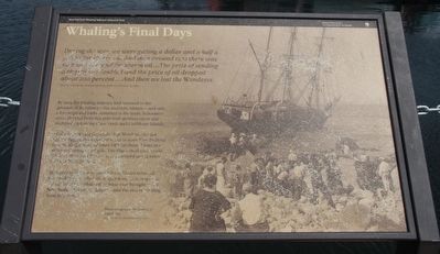 Whaling's Final Days Marker. Click for full size. Whaling's Final Days Marker image. Click for full size.