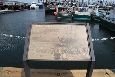 Whaling's Final Days Marker. Click for full size. Whaling's Final Days Marker image. Click for full size.