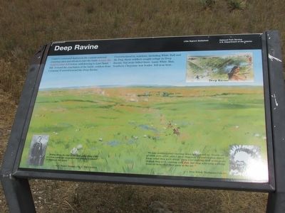 Deep Ravine Marker. Click for full size. Deep Ravine Marker image. Click for full size.