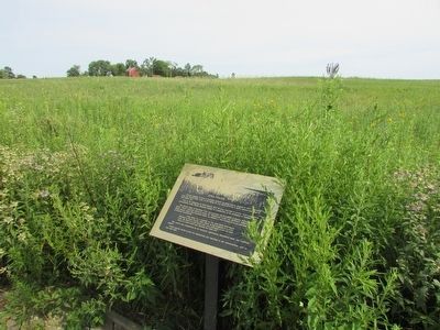 Iowa Prairie Marker image. Click for full size.