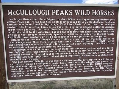 McCullough Peaks Wild Horses Marker. Click for full size. McCullough Peaks Wild Horses Marker image. Click for full size.