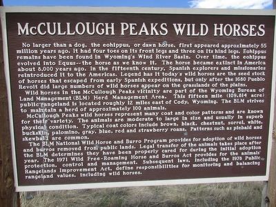 McCullough Peaks Wild Horses Marker image. Click for full size.