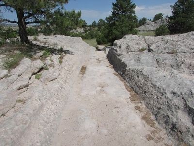Oregon Trail Ruts. Click for full size. Oregon Trail Ruts image. Click for full size.