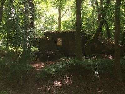 Montfaucon German Bunker image. Click for full size.