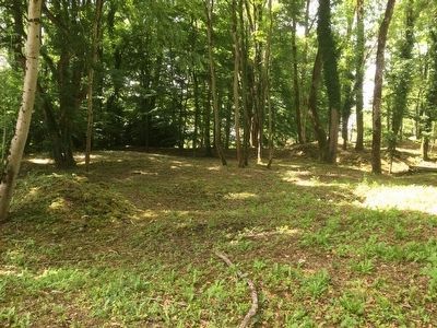 Montfaucon Battle Scars. Click for full size. Montfaucon Battle Scars image. Click for full size.