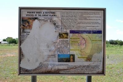 Prairie Dog Marker. Click for full size. Prairie Dog Marker image. Click for full size.