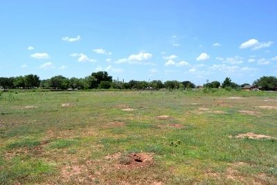 Red Bud Park's Prairie Dog Town. Click for full size. Red Bud Park's Prairie Dog Town image. Click for full size.