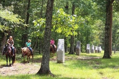 30th Georgia Infantry Marker. Click for full size. 30th Georgia Infantry Marker image. Click for full size.