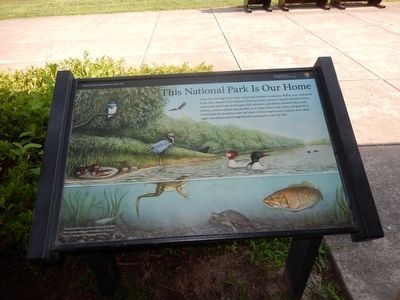 This National Park Is Our Home Marker. Click for full size. This National Park Is Our Home Marker image. Click for full size.