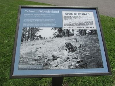 Crime in Wonderland Marker. Click for full size. Crime in Wonderland Marker image. Click for full size.