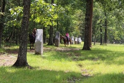 1st Confederate Georgia, 2nd Battalion Infantry Marker. Click for full size. 1st Confederate Georgia, 2nd Battalion Infantry Marker image. Click for full size.