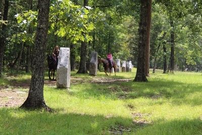 5th Georgia Infantry Marker. Click for full size. 5th Georgia Infantry Marker image. Click for full size.