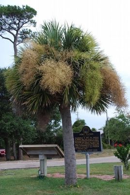 Fort Gaines Marker. Click for full size. Fort Gaines Marker image. Click for full size.