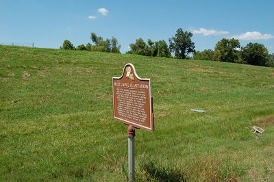 Belle Grove Plantation Marker image. Click for full size.