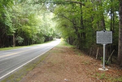 Treaty of DeWitt's Corner Marker<br>Front, Looking North Along SC 20 image. Click for full size.