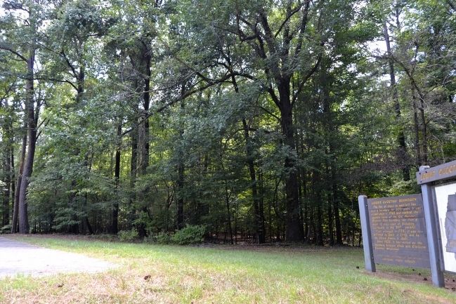 Trees Delineating the Lower Choctaw Boundary image. Click for full size.