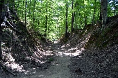 Segment of Sunken Trace near Marker. Click for full size. Segment of Sunken Trace near Marker image. Click for full size.
