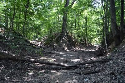 Sunken Trace Splits into Two Segments. Click for full size. Sunken Trace Splits into Two Segments image. Click for full size.