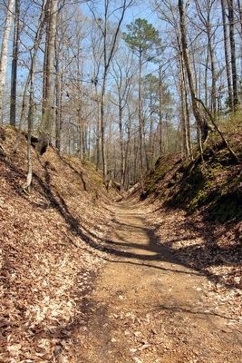 Segment of Sunken Trace<br>near Marker in Early Spring. Click for full size. Segment of Sunken Trace<br>near Marker in Early Spring image. Click for full size.