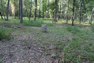 11th Michigan Infantry Marker. Click for full size. 11th Michigan Infantry Marker image. Click for full size.