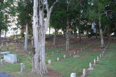 Confederate Section Cassville Cemetery image. Click for full size.