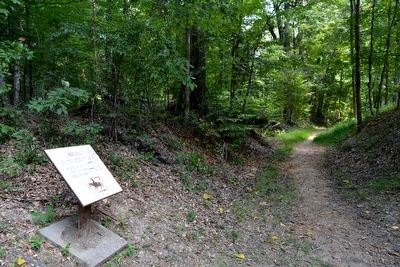 Remnant of the Old Natchez Trace near Marker image. Click for full size.