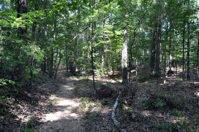 Remnant of the Old Trace on the Loop Trail image. Click for full size.