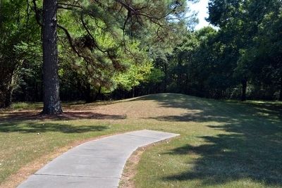 Boyd Site Mound. Click for full size. Boyd Site Mound image. Click for full size.
