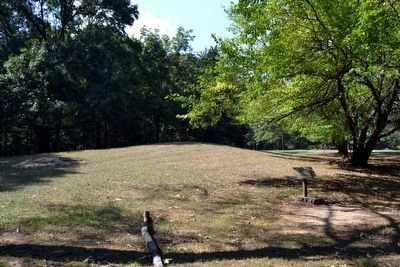 Boyd Site Mound image. Click for full size.