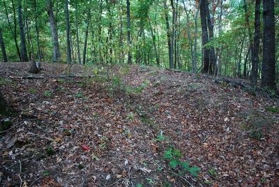Federal Trenches. Click for full size. Federal Trenches image. Click for full size.