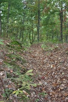 Federal Trenches. Click for full size. Federal Trenches image. Click for full size.