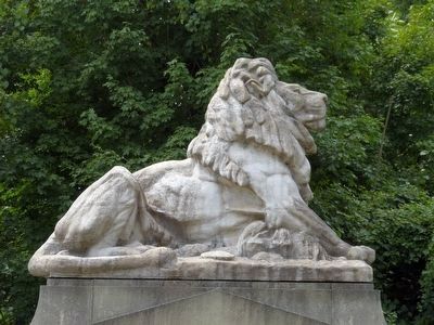 Lion image. Click for full size.