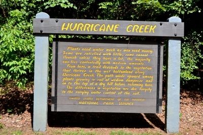 Hurricane Creek Marker image. Click for full size.