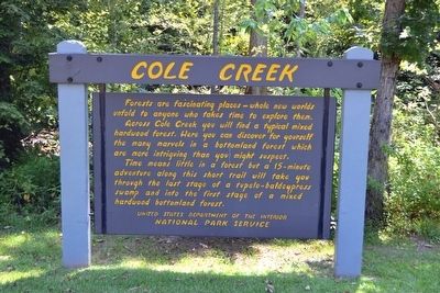 Cole Creek Marker image. Click for full size.