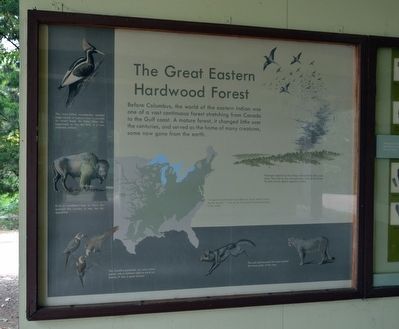 The Great Eastern Hardwood Forest Marker. Click for full size. The Great Eastern Hardwood Forest Marker image. Click for full size.
